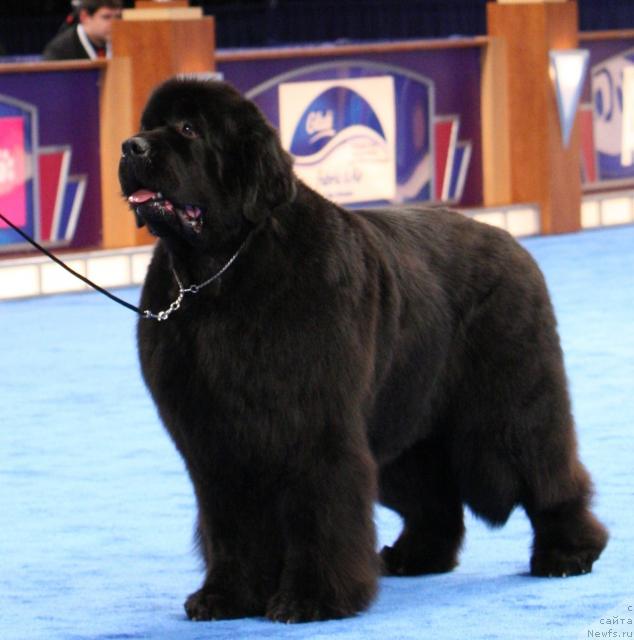 Фотография № 34857