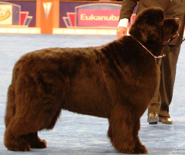 Фотография № 34858