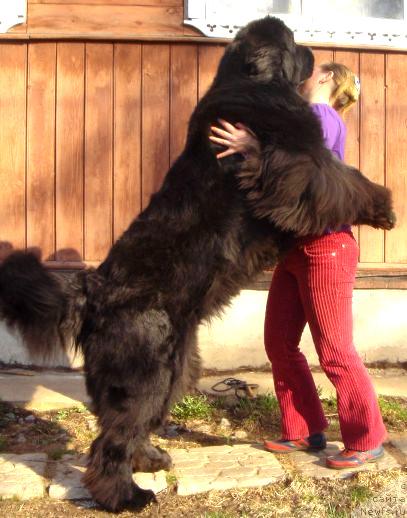 Фотография № 34874