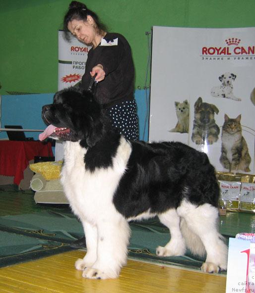 Фотография № 34889