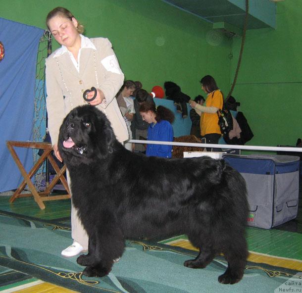 Фотография № 34890