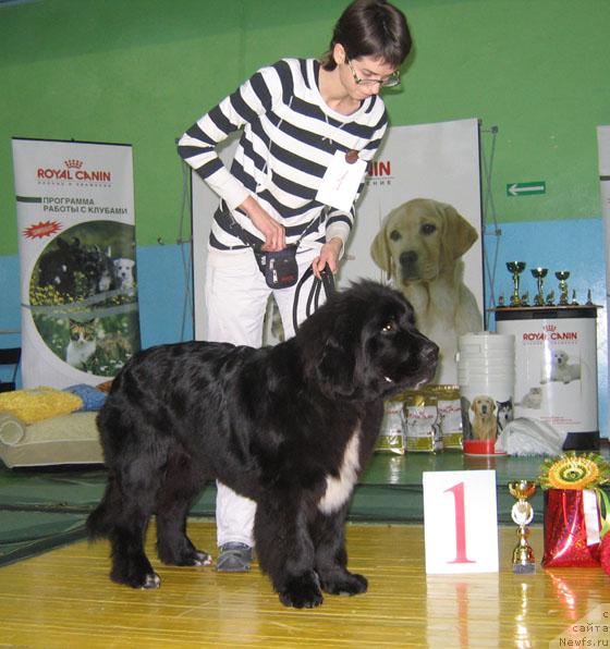 Фотография № 34891