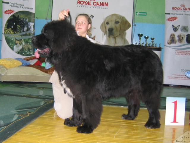 Фотография № 34893