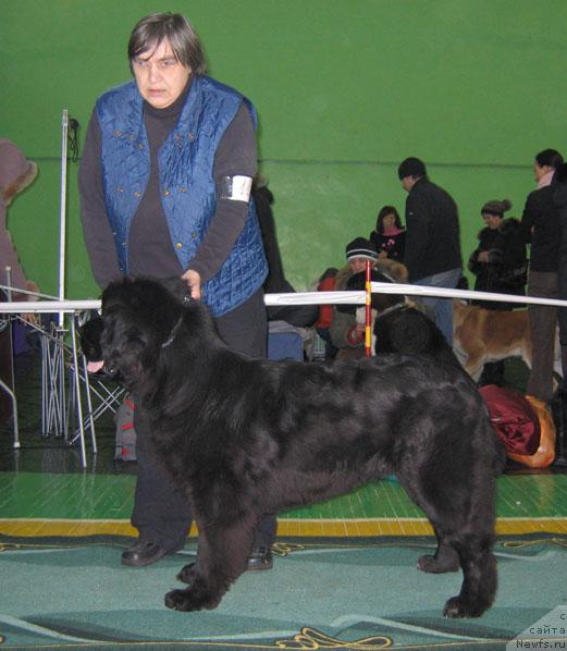 Фотография № 34895