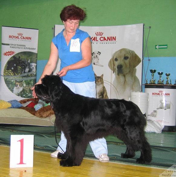 Фотография № 34898