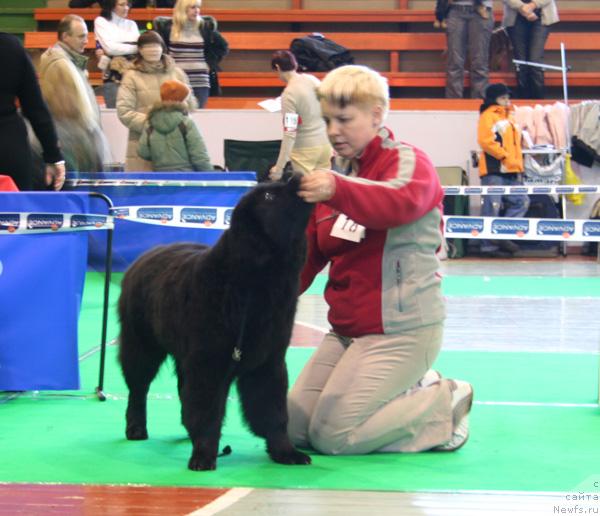 Фотография № 34911