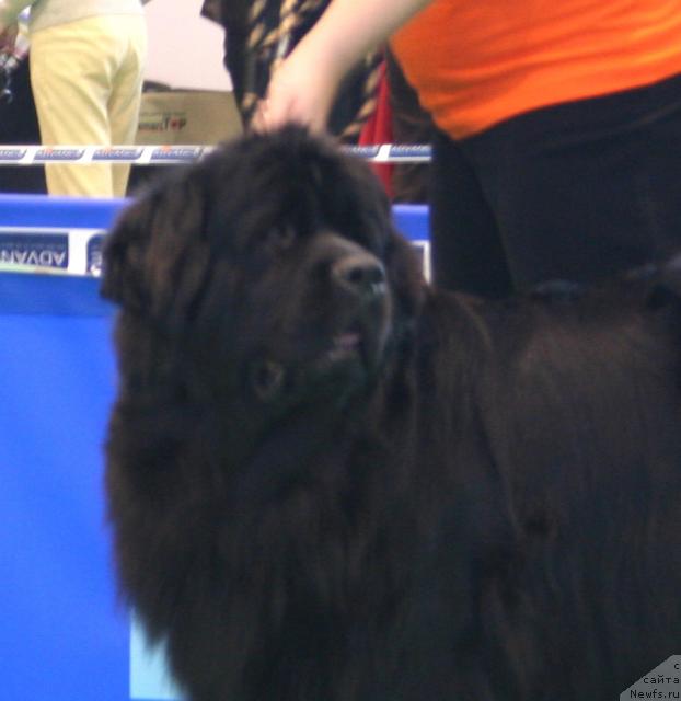 Фотография № 34913