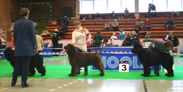 Фотография № 34916