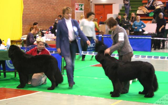 Фотография № 34917