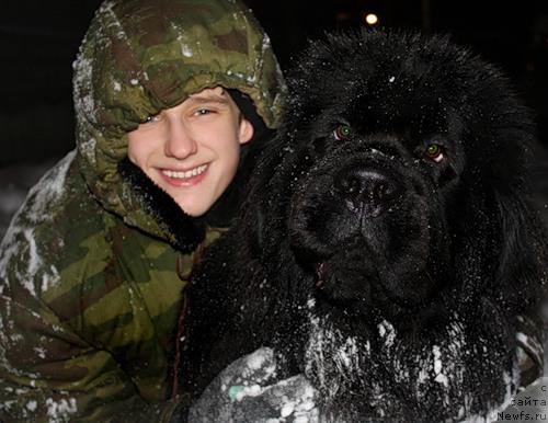 Фото: ньюфаундленд Potap Ceveron (Потап Цеверон)