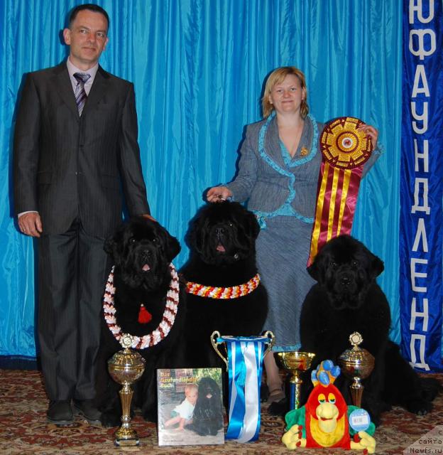 Фото: ньюфаундленд Aquatoriya Kelvin Geroinya Romana (Акватория Келвин Героиня Романа), ньюфаундленд King of Helluland Viking, ньюфаундленд Vell Spirit Lillit (Велл Спирит Лилит), Tat'yana Abutova (Татьяна Абутова)