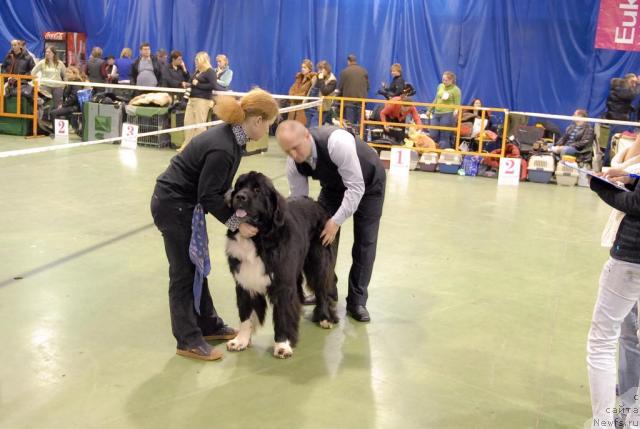 Фотография № 34933