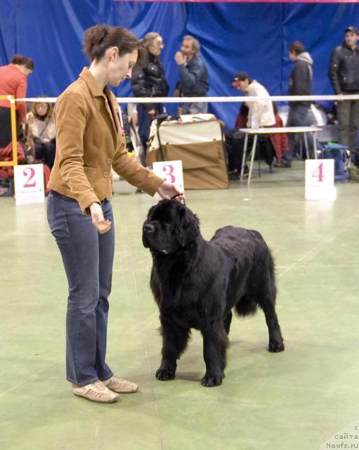 Фотография № 34934