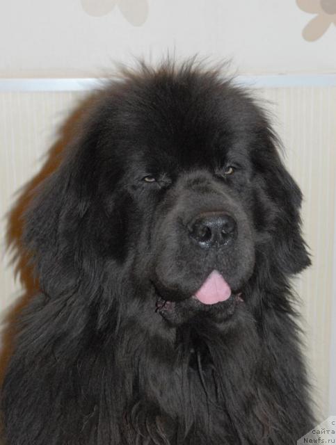 Фотография № 34940