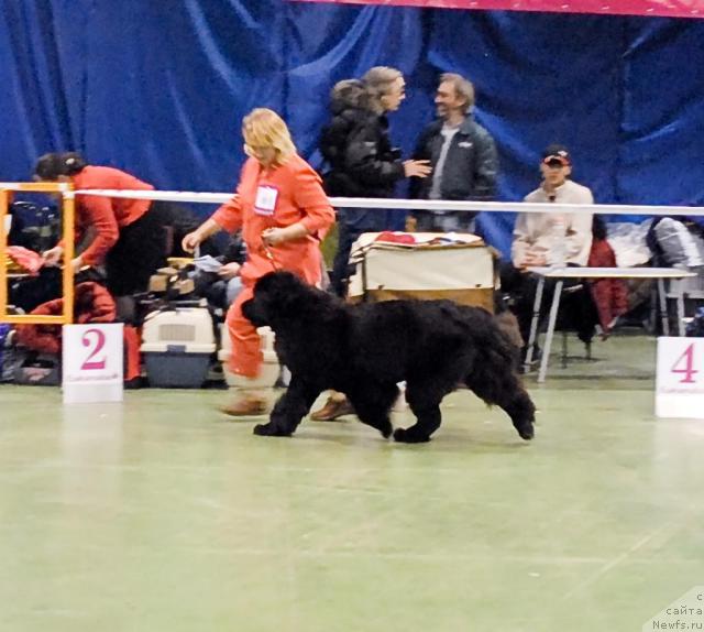 Фотография № 34942