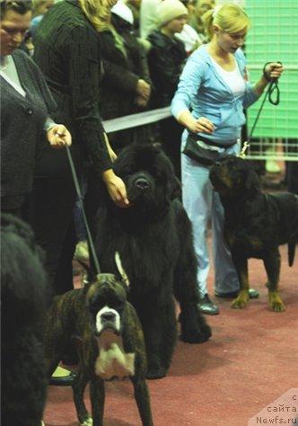 Фотография № 34951