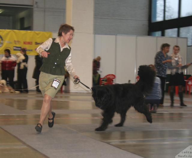 Фотография № 34969