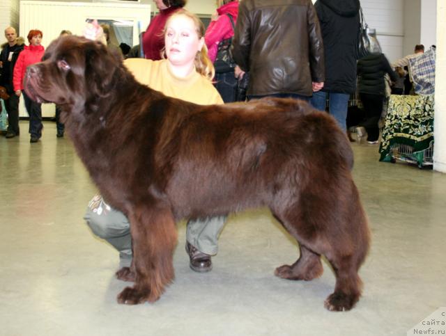 Фотография № 34971