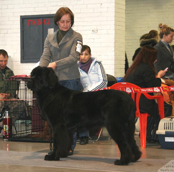 Фотография № 34973