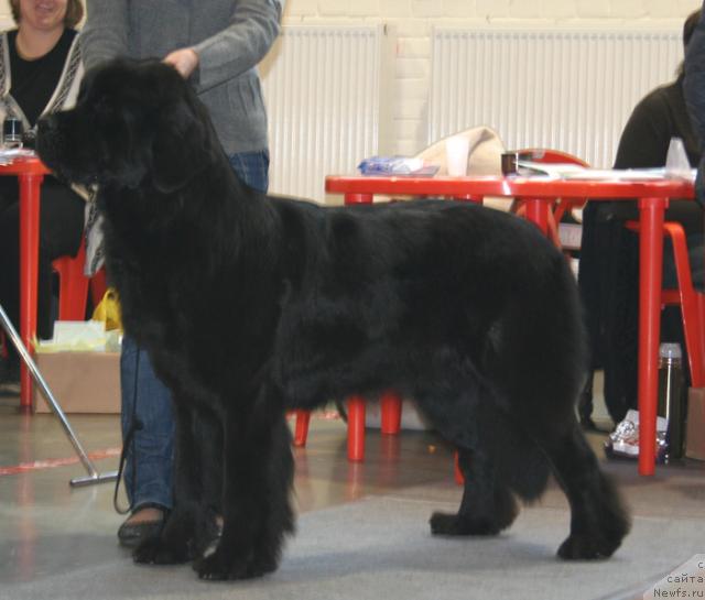 Фотография № 34974