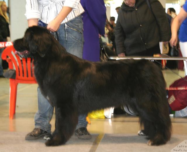 Фотография № 34975