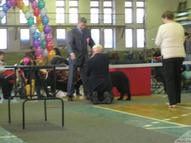 Фотография № 34988