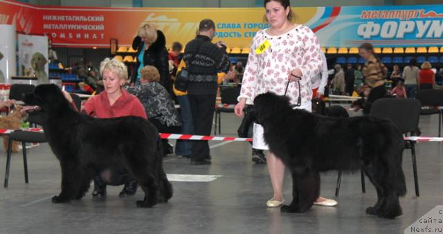 Фотография № 35047