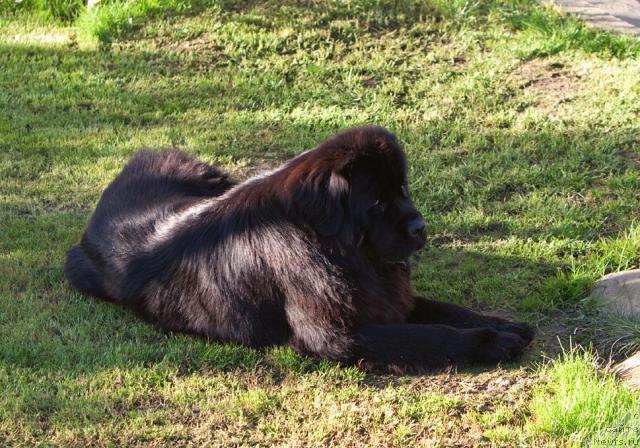 Фотография № 35069