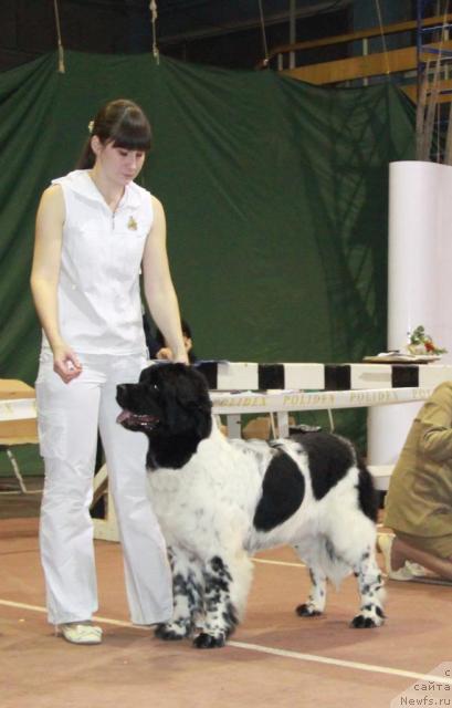 Фотография № 35105