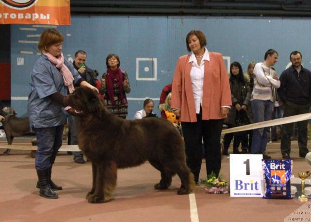 Фотография № 35109