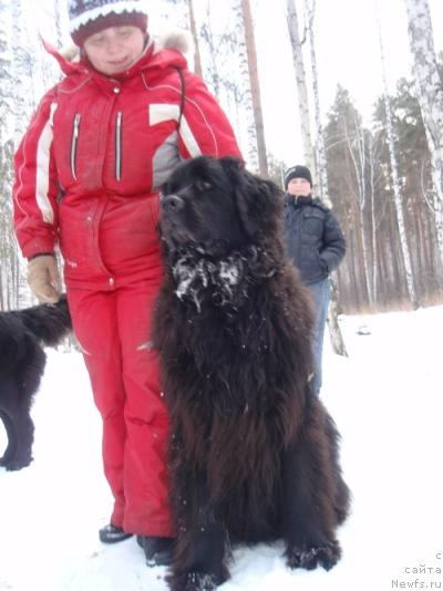 Фотография № 35129