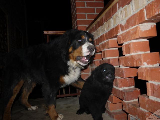 Фотография № 35148