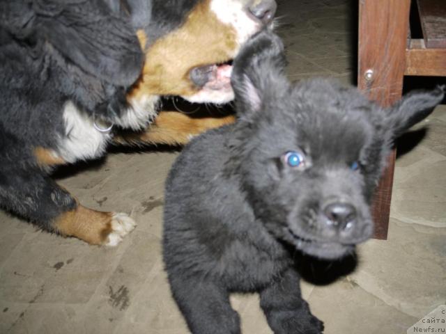 Фотография № 35149