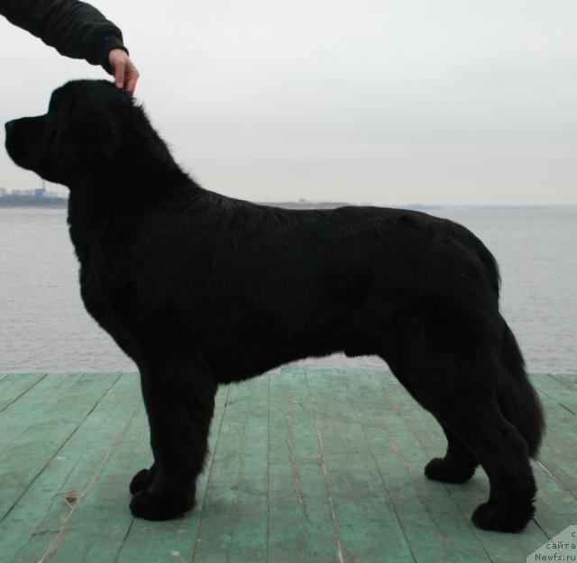 Фотография № 35153