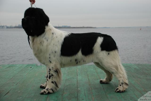 Фотография № 35158