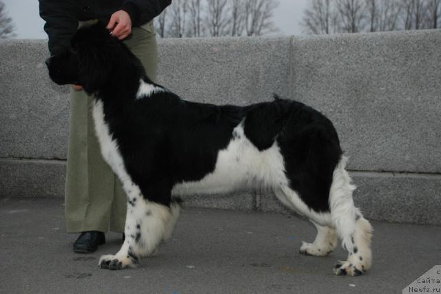 Фотография № 35159