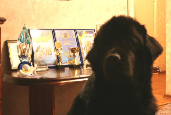 Фотография № 35197