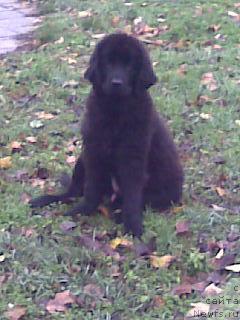 Фото: Inga Kuznecovskaya (Инга Кузнецовская)