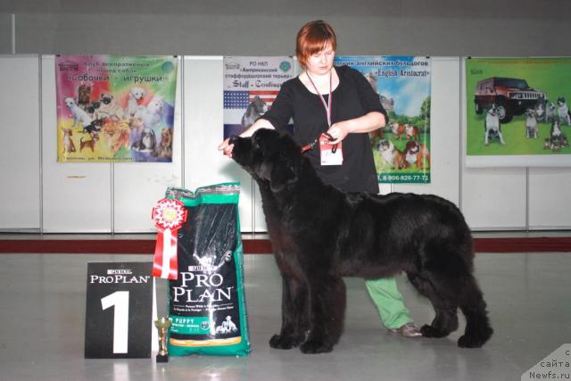 Фотография № 35235