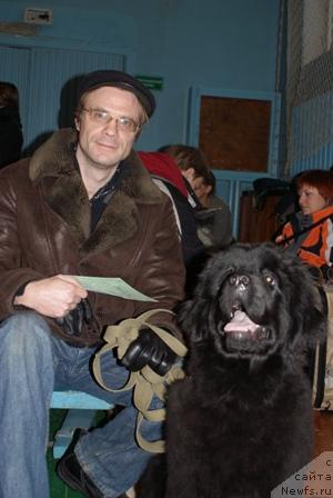 Фото: ньюфаундленд Arh B'yuti Radujnaya (Арх Бьюти Радужная)