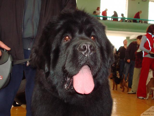 Фотография № 35304