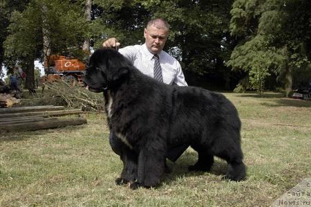 Фотография № 35391