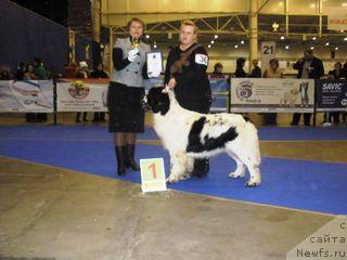 Фотография № 35410