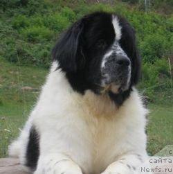 Фотография № 35412