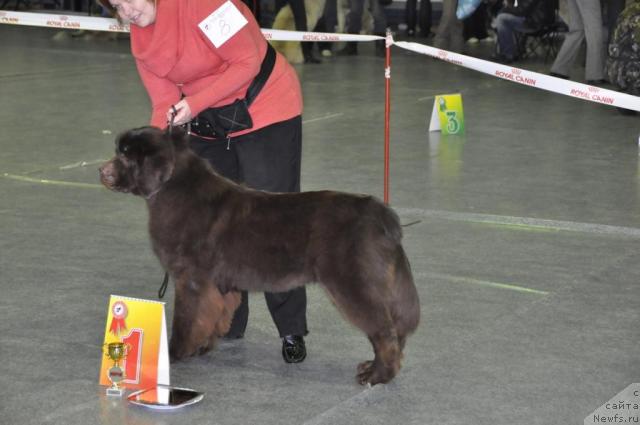 Фотография № 35461