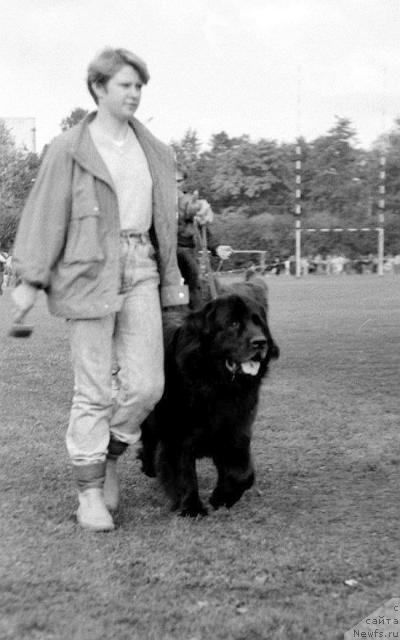 Фото: ньюфаундленд Julix (Юликс), и Света Суховеркова