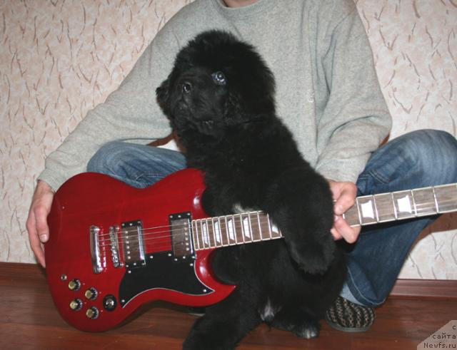 Фотография № 35611