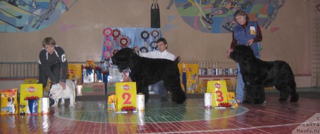 Фотография № 35620