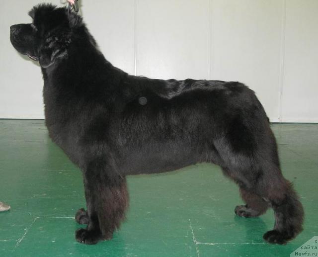 Фотография № 35639