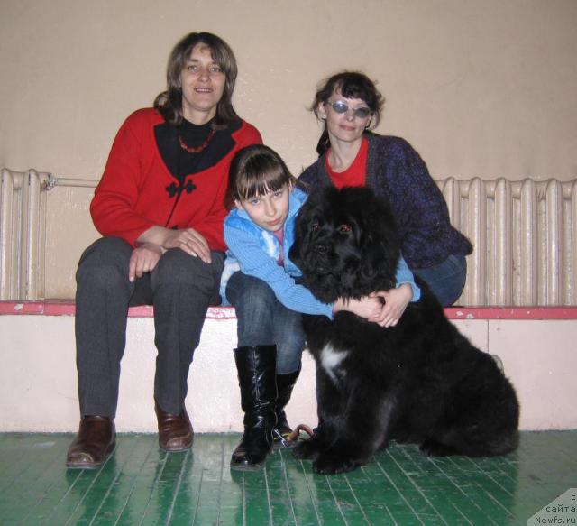 Фото: ньюфаундленд Malaya Medvedica iz Plemeni Kedra (Малая Медведица из Племени Кедра)